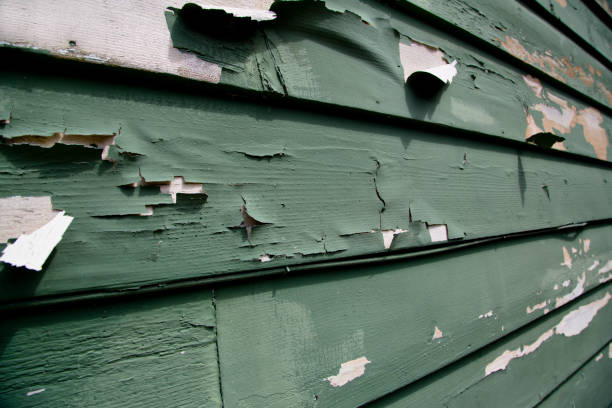 Best Siding Painting and Refinishing  in Arvin, CA