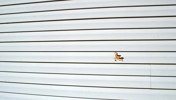Arvin, CA Siding Installation & Repair Company
